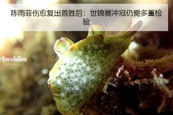 chen-yu-fei-shang-yu-fu-chu-shou-sheng-hou-shi-jin-sai-chong-guan-reng-xu-duo-zhong-jian-yan-3-729.jpg